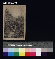 藏品(原住民風俗明信片)的圖片